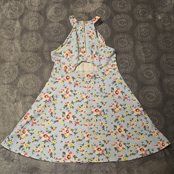 No Boundaries Floral Midi Dress in Blue and Pink - Picture 2 of 3